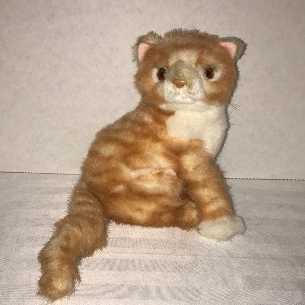 Kitten plush